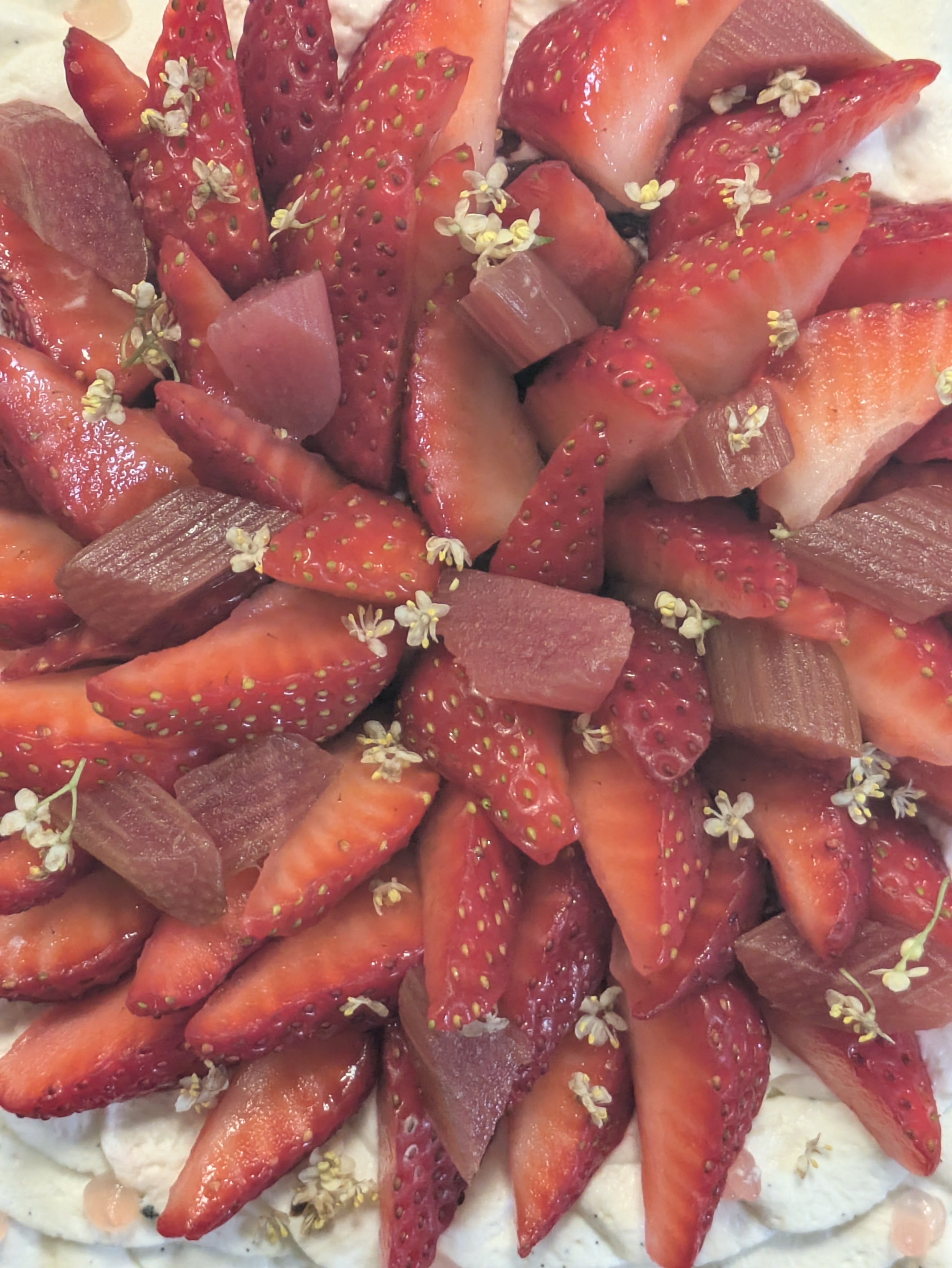 Tarte Fraise/Rhubarbe/Vanille